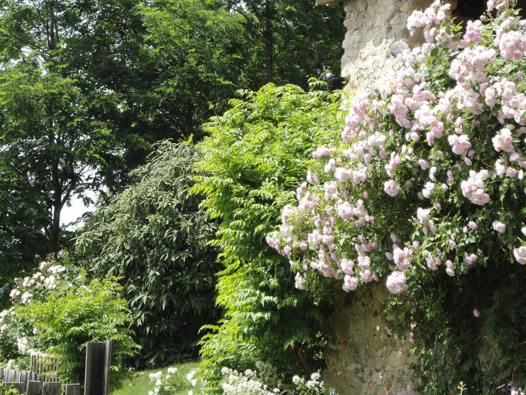 Villa Un Gite De Charme En Haute Provence Sigoyer  Zimmer foto