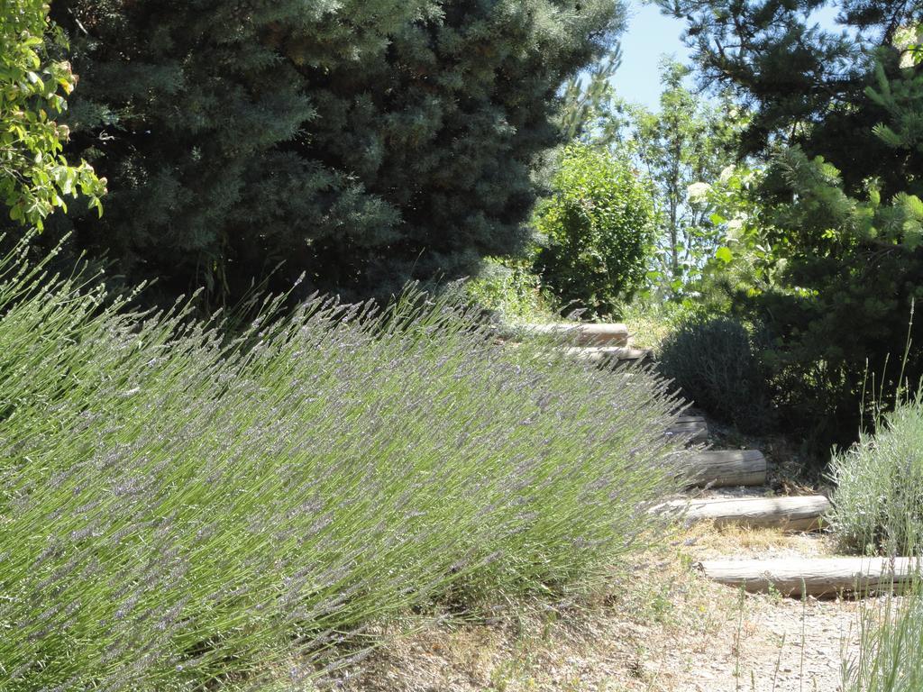 Villa Un Gite De Charme En Haute Provence Sigoyer  Zimmer foto